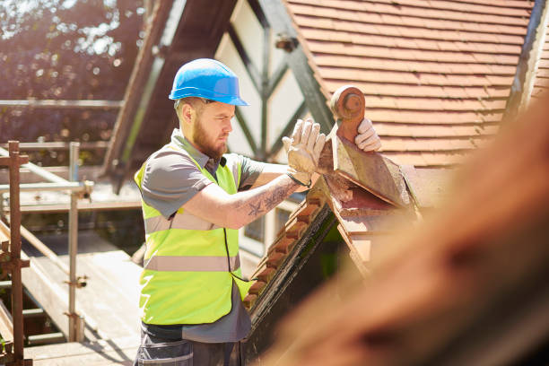 Roof Gutter Cleaning in Loretto, PA